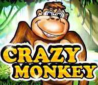 Crazy Monkey
